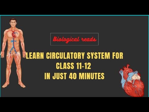 Circulatory system class 10|class 11 2022 - YouTube