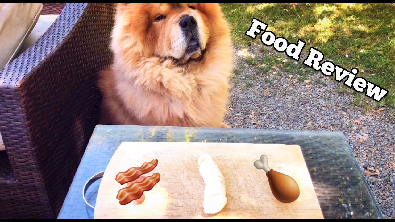 CHOW CHOW REVIEWS FOOD *CUTE* - YouTube