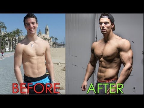 VEGAN BODYBUILDING: 4 Transformations