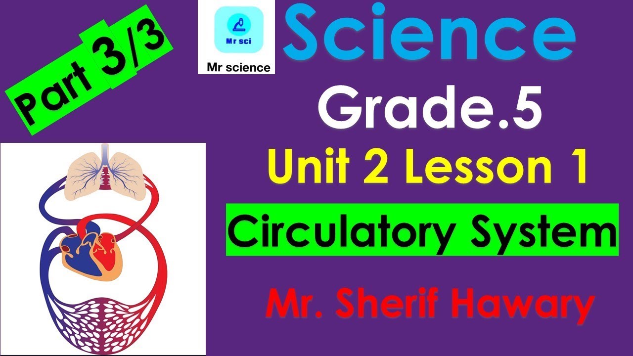 Science | Grade.5| Circulatory system | Unit 2 Lesson 1 | Part 3/3| 2nd ...