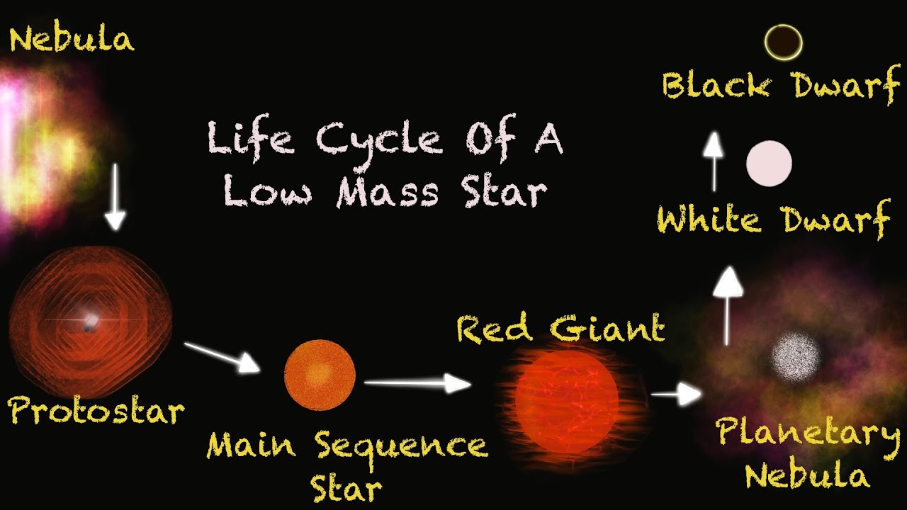 Star Life Cycle Chart