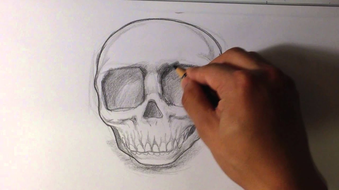 How to Draw a Baby Skull - Skull Drawings - YouTube