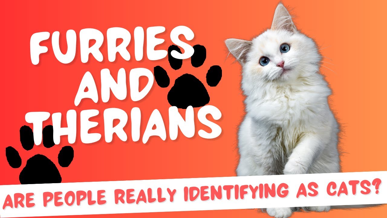 Furries and Therians - Are people really identifying as cats?! - YouTube