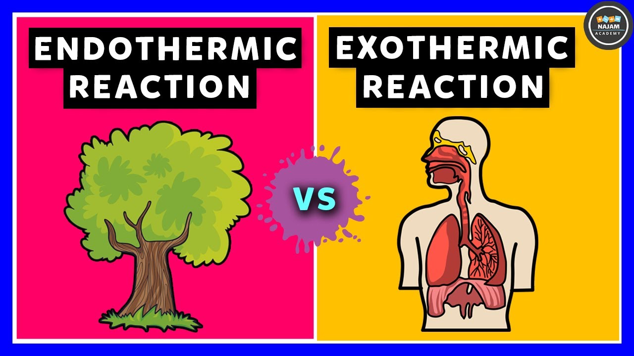 Endothermic Reaction Examples For Kids