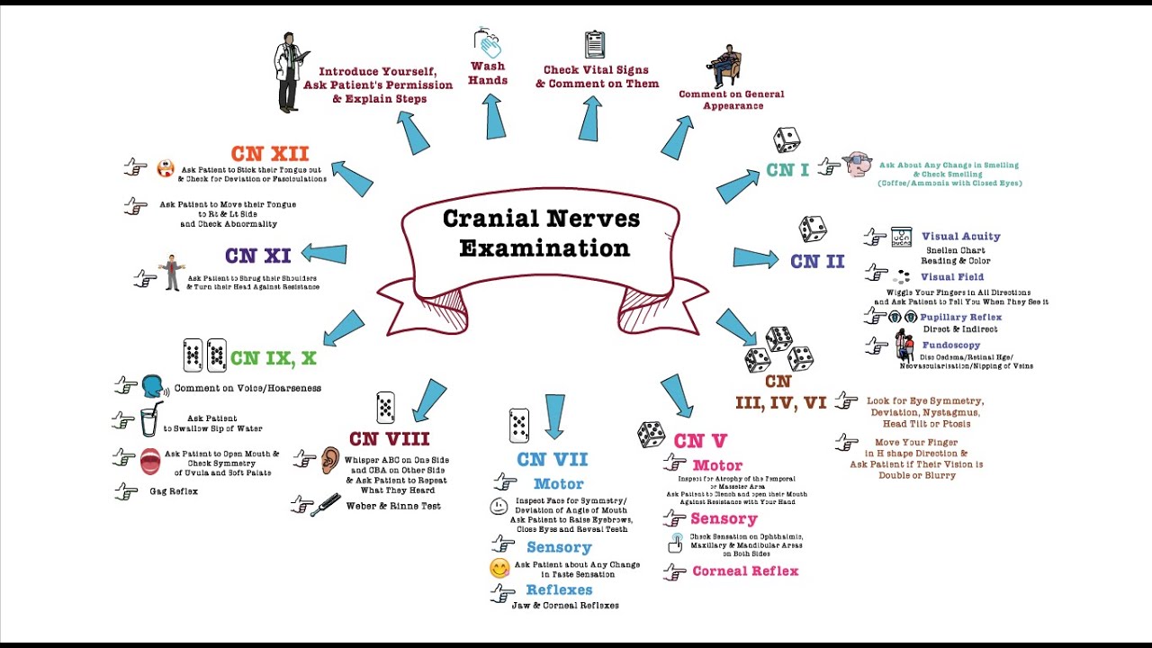 Cranial Nerves Assessment