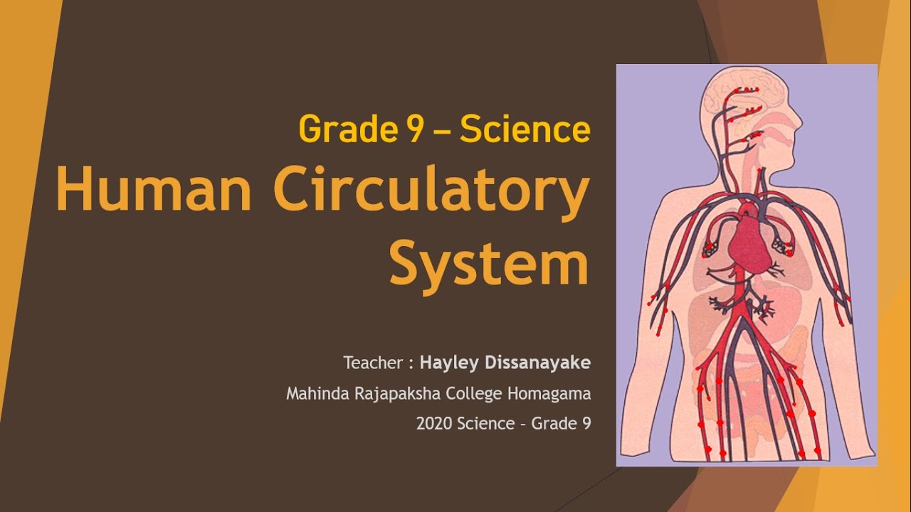 Grade 9 Science 06. Chapter - Circulatory System - YouTube