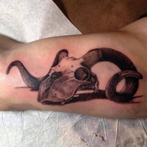 Inner Bicep Animal Skull Tattoos