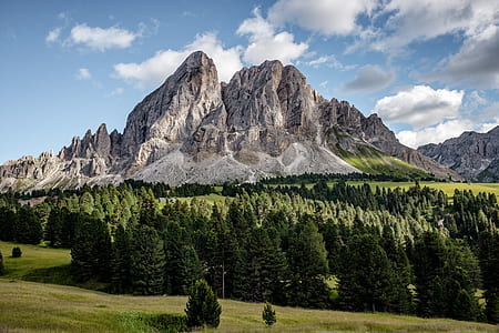 green pine trees near brown mountain under white and blue sky