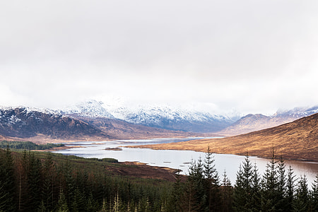 view of trees, lake and mountains