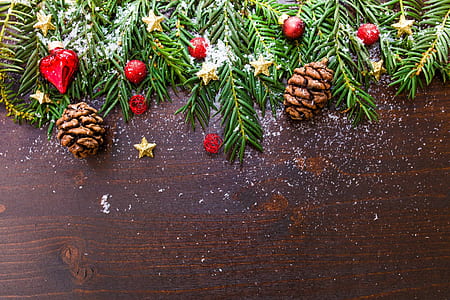 artificial green leaves and conifer cones