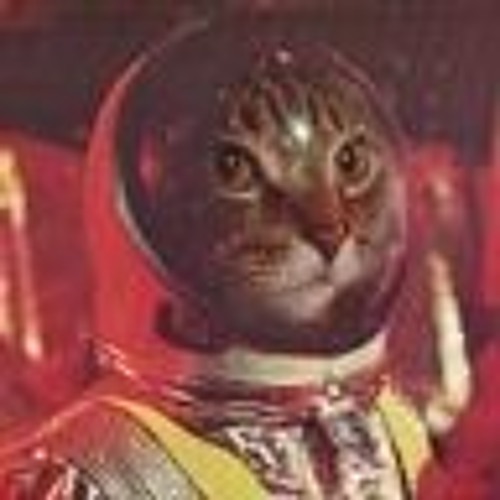 SPACE CAT’s avatar