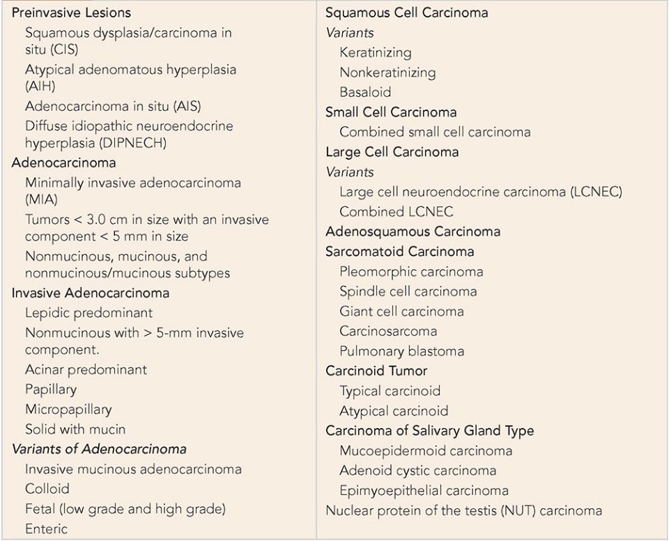 Pathobiology of Non–Small Cell Lung Carcinoma | Thoracic Key