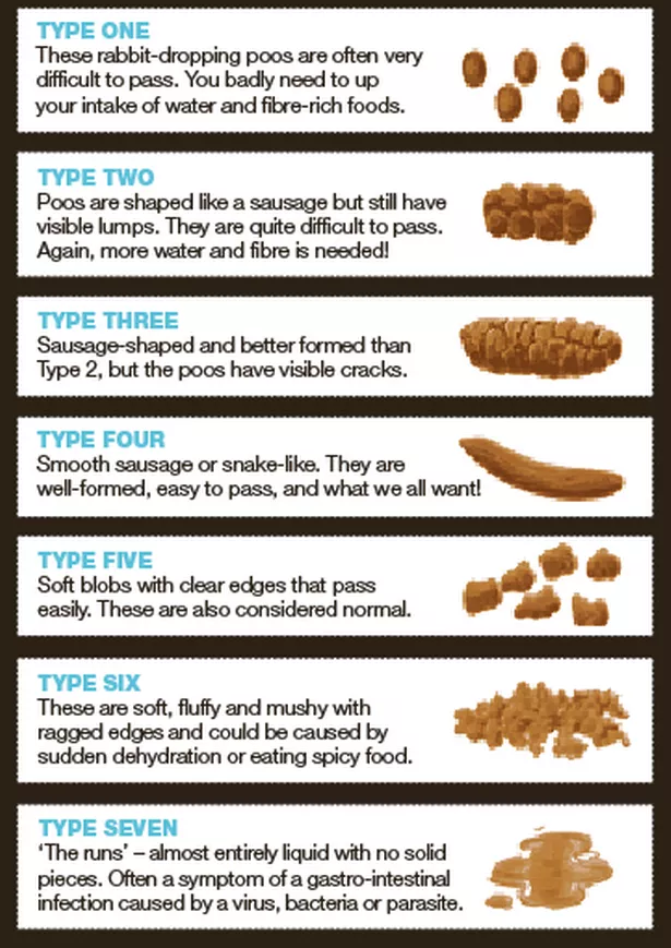 Bristol Stool Chart Printable