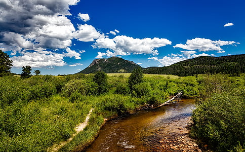 mountain with tress during daytime