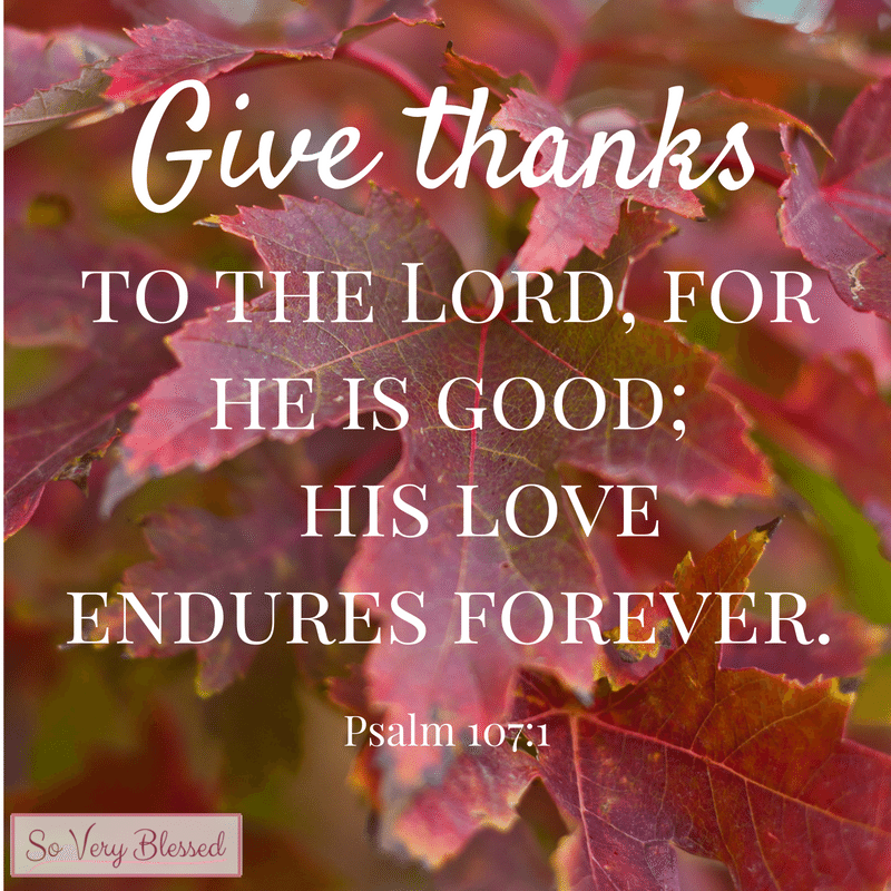 15 Bible Verses on Thankfulness