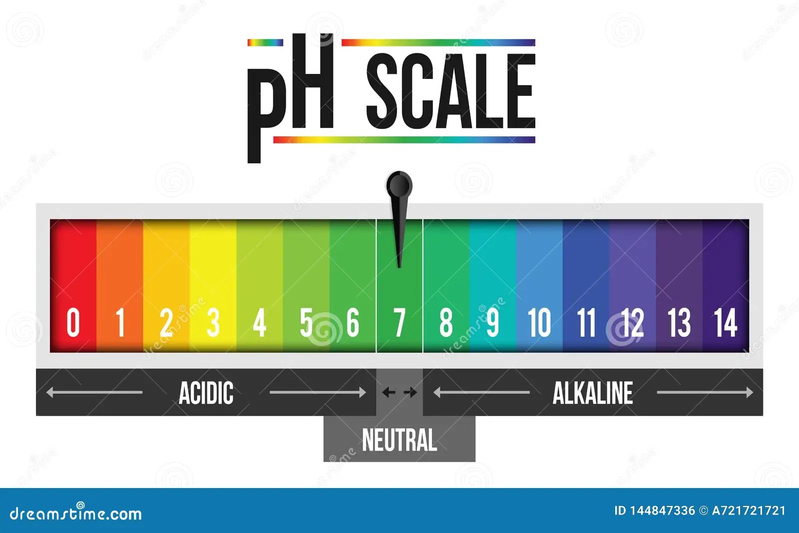 PH Scale. Litmus Paper Color Chart. Vector Illustration CartoonDealer