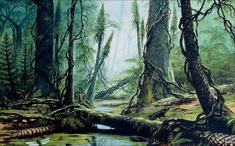 Carboniferous forest