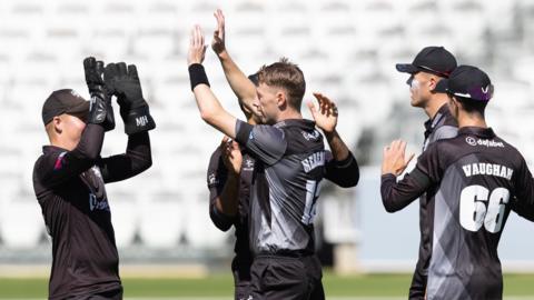 Somerset players congratulate each other for taking a wicket during a game