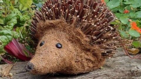 Harlyn the hedgehog has prickles made of sticks and his face is made of brown coco fibre. He has shiny black eyes and is sitting in a veg patch