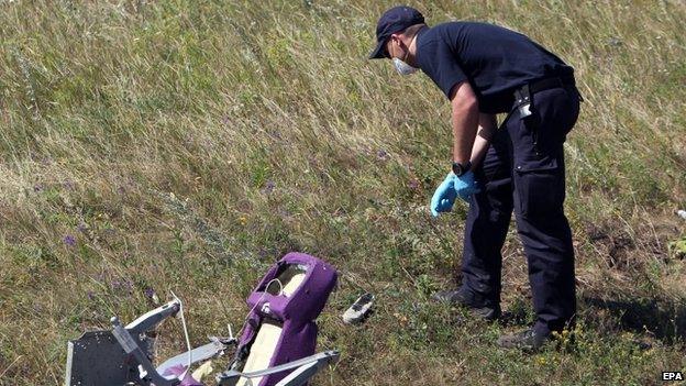 An investigator examines the area of the Malaysia Airlines Flight MH17 crash site, near the village of Hrabove, 100 km from Donetsk, Ukraine (1 August 2014)