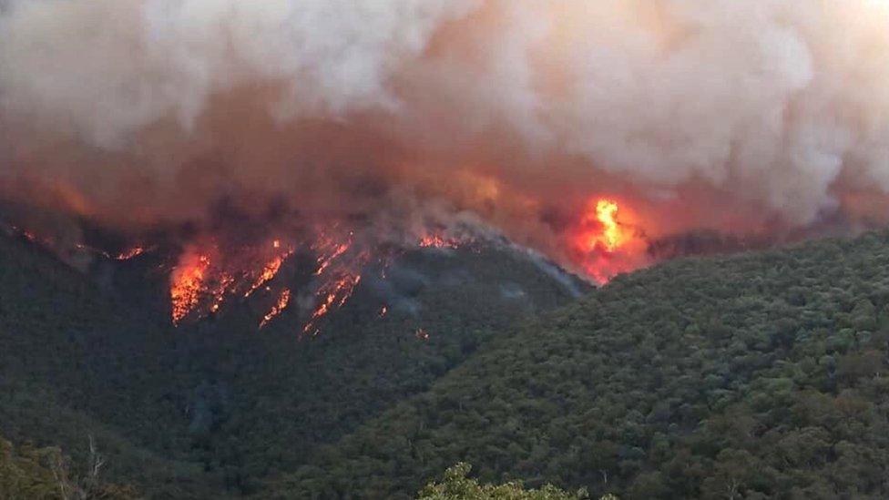 Smoke billowing from a fire burning at East Gippsland