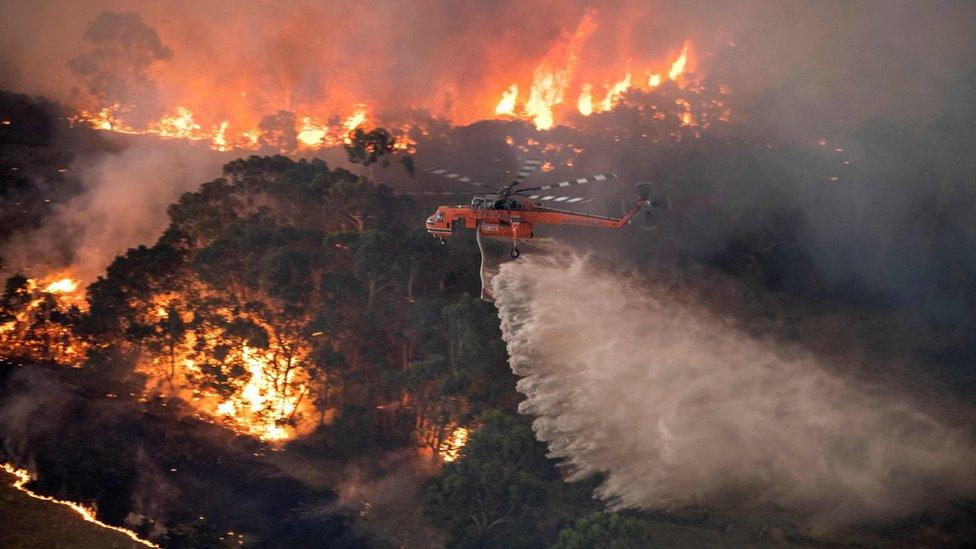 A helicopter drops water on a bushfire