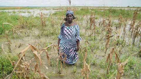 Farmer Mema Fwa standing in a waterlogged field of dead crops