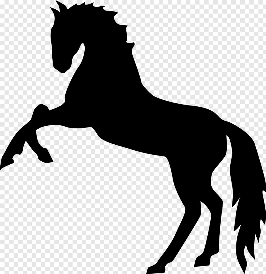 Horse Logo, Business Woman Standing, Black Horse, Standing, Horse ...