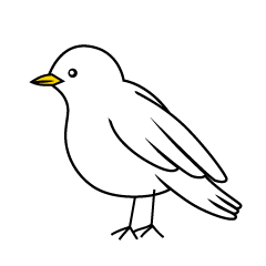 White Bird