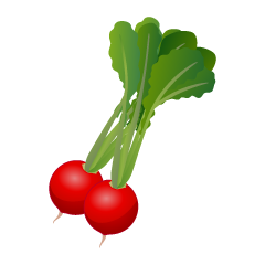 Red Radish