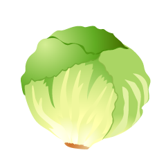 Lettuce