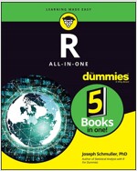 R All-In-One for Dummies (Paperback)