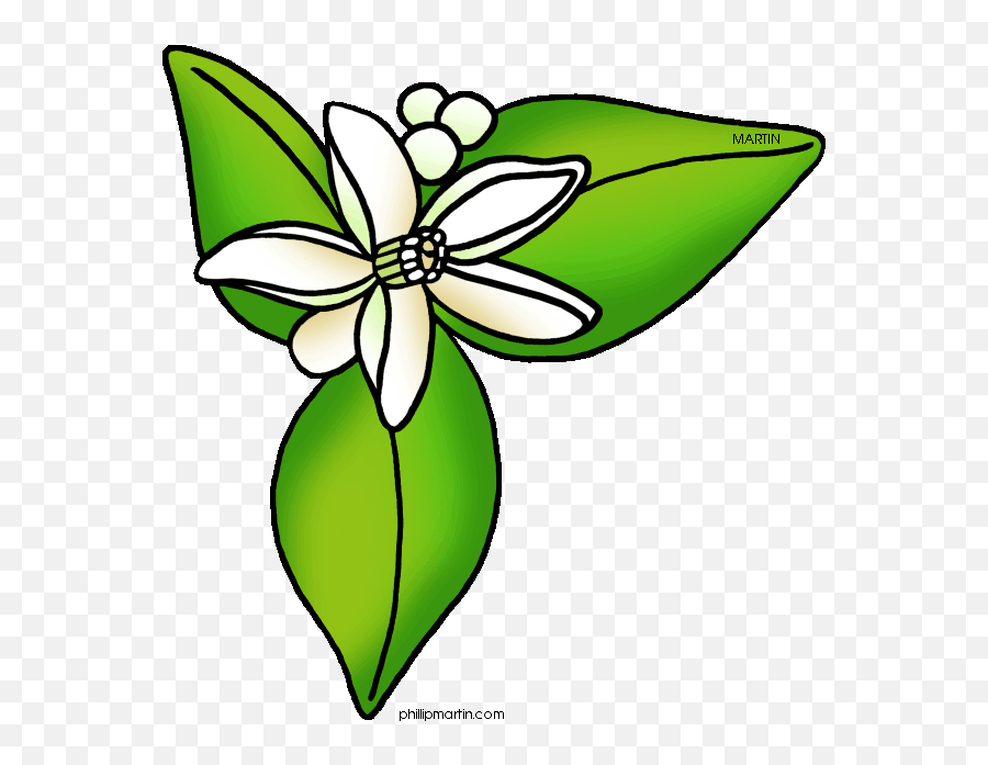 Clip Art Florida 3 - Orange Blossom Flower Cartoon Emoji,Florida State Emoji