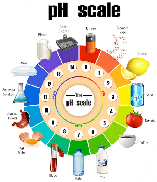 Free Vector | The ph scale