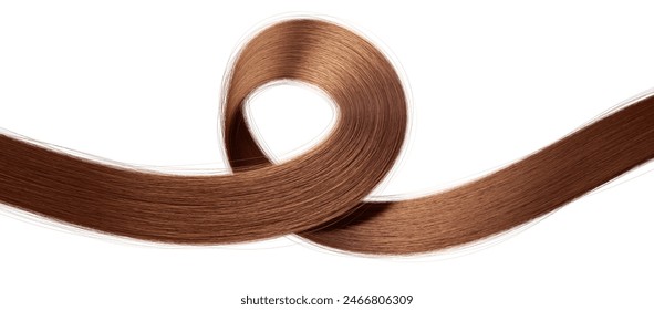 3d render. Lustrous curly brunette hair strand isolated on white background. Close-up of rich beautiful healthy chestnut-colored looped hair curl, showcasing the smooth texture and vibrant shine