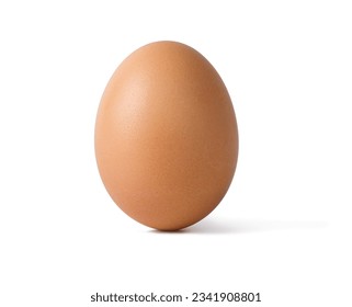 Brown chicken egg isolated on a white background  with clipping path