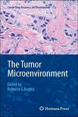 The Tumor Microenvironment