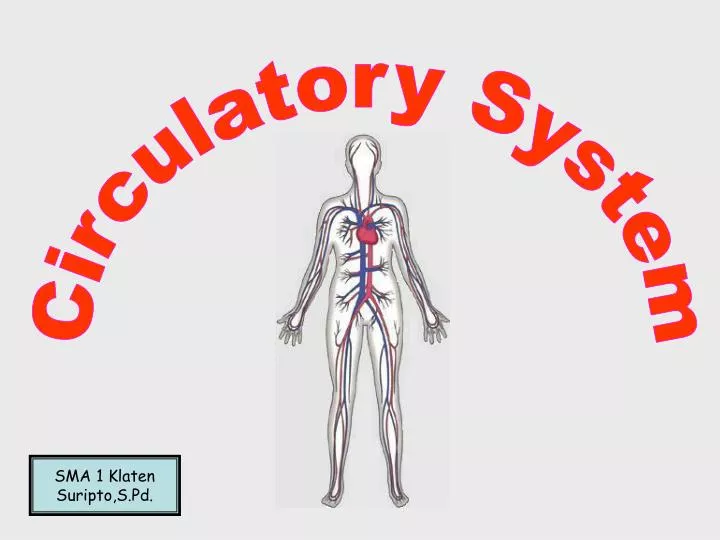 PPT - Circulatory System PowerPoint Presentation, free download - ID ...