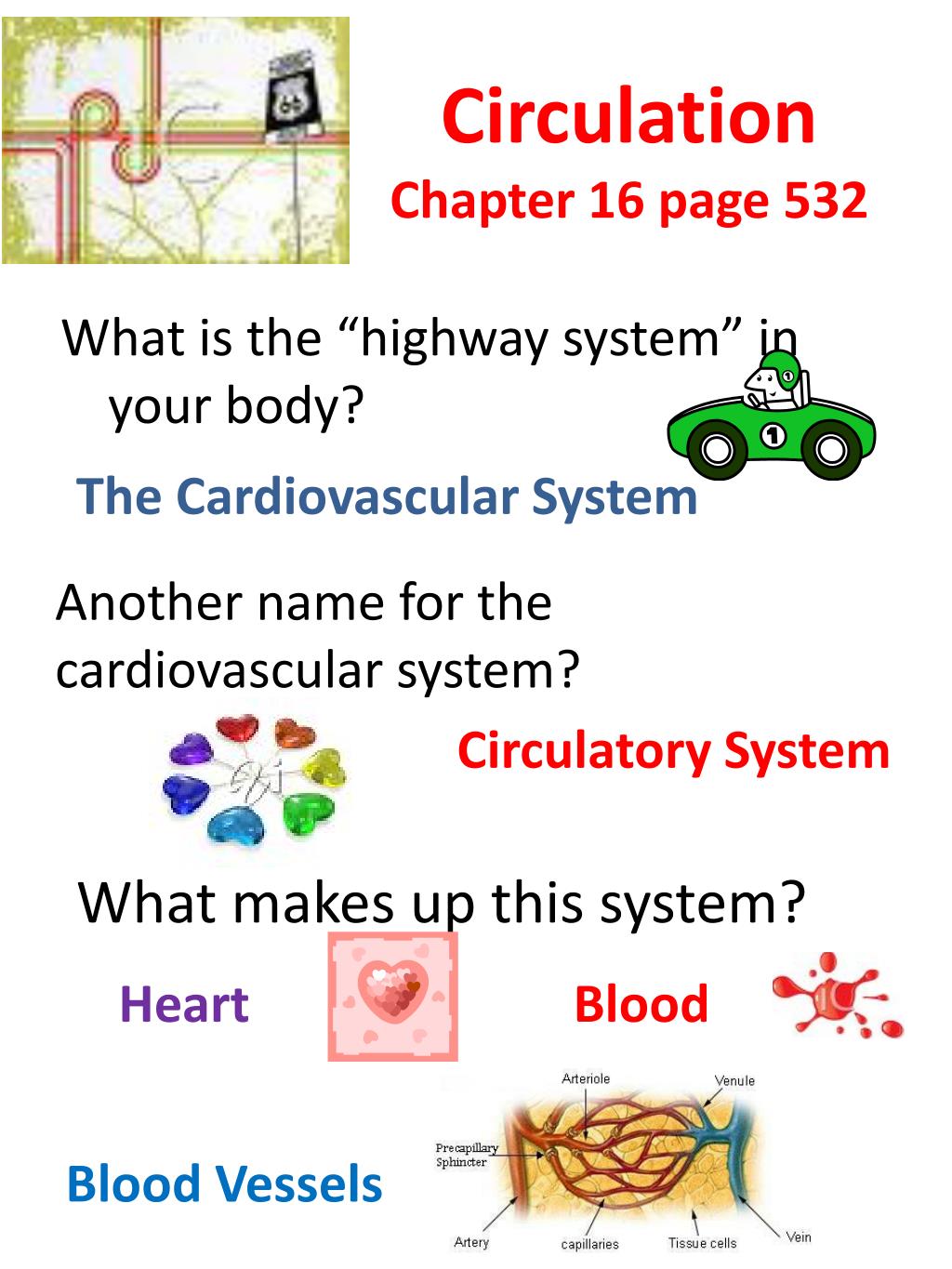 PPT - Circulatory System PowerPoint Presentation, free download - ID ...