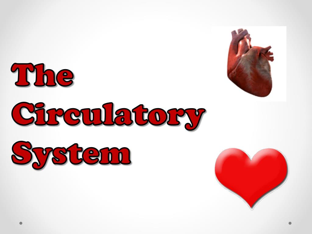 PPT - The Circulatory System PowerPoint Presentation, free download ...