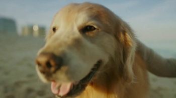 WeatherTech: Lucky Dog