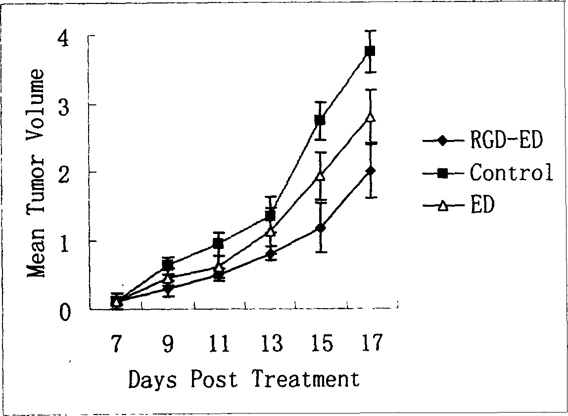 Peptide for high performance inhibition of angiogenesis and method for preparing same and use thereof