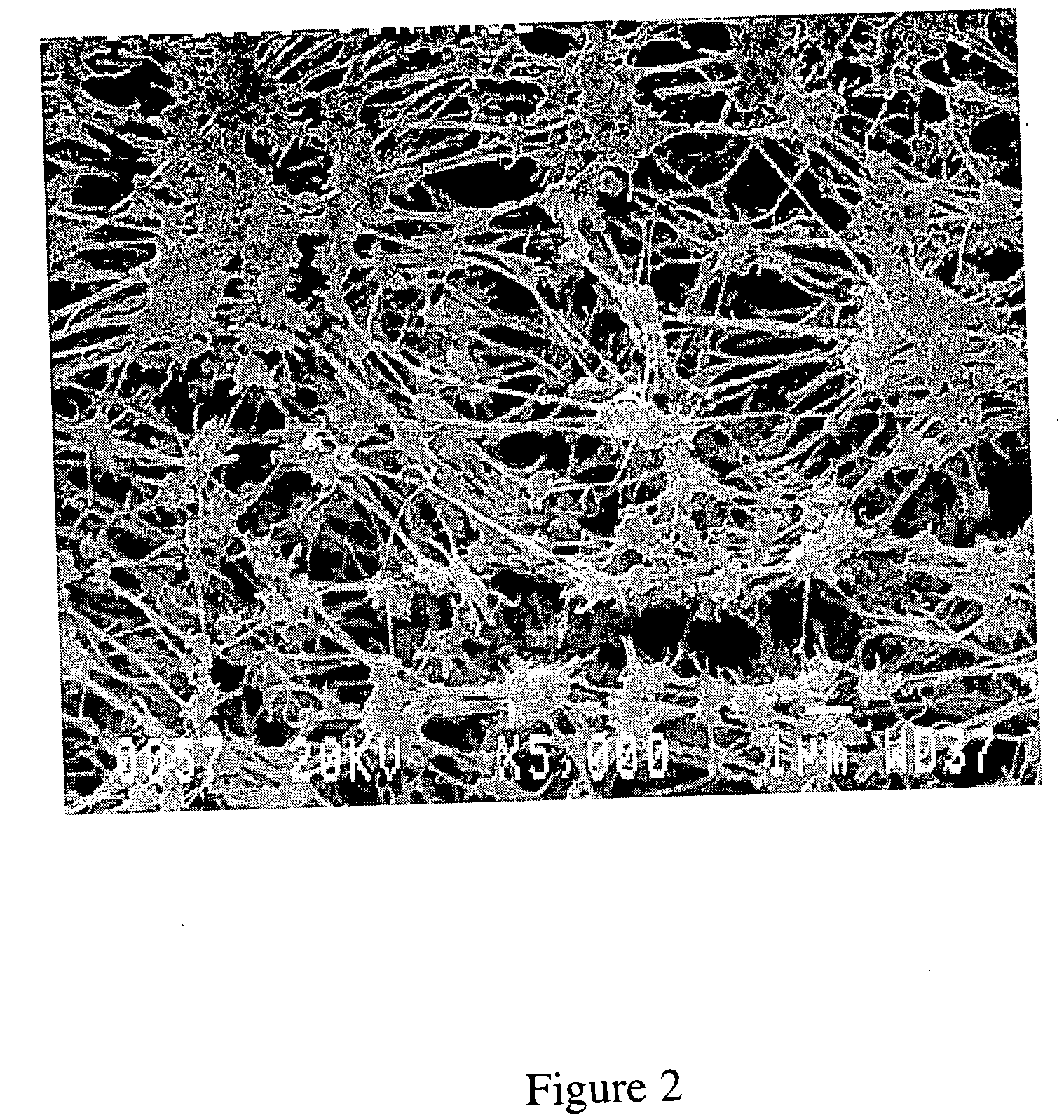 Flue gas purification process using a sorbent polymer composite material