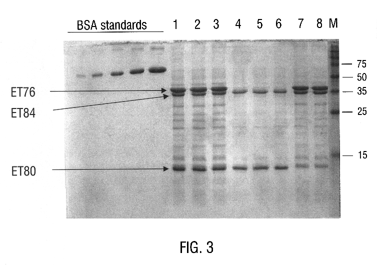 Coleopteran-toxic polypeptide compositions and insect-resistant transgenic plants