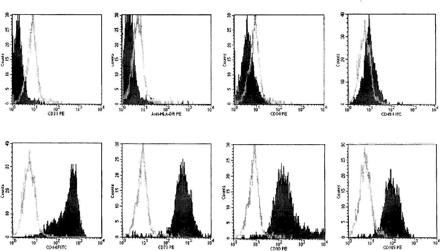 Preparation and storage of umbilical cord-mesenchymal stem cells (UC-MSCs) used in clinical therapy