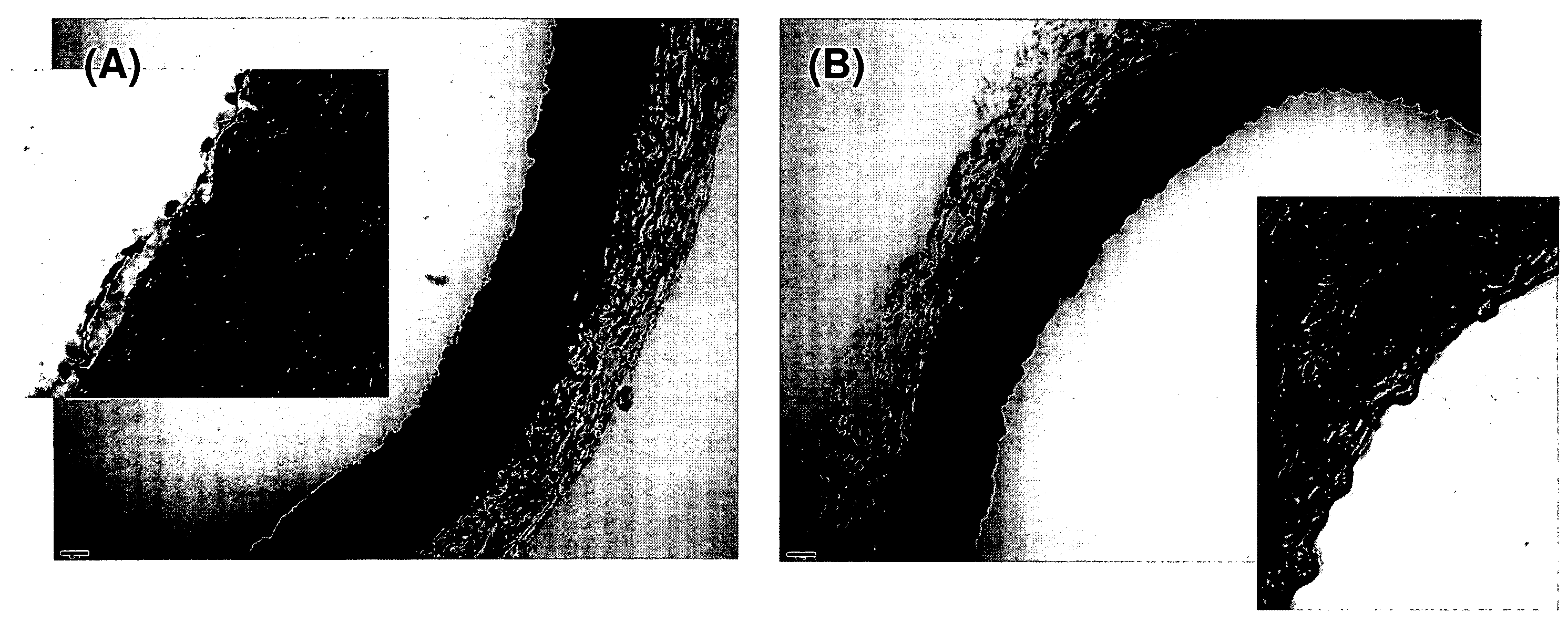 Poly(amino acid) targeting moieties