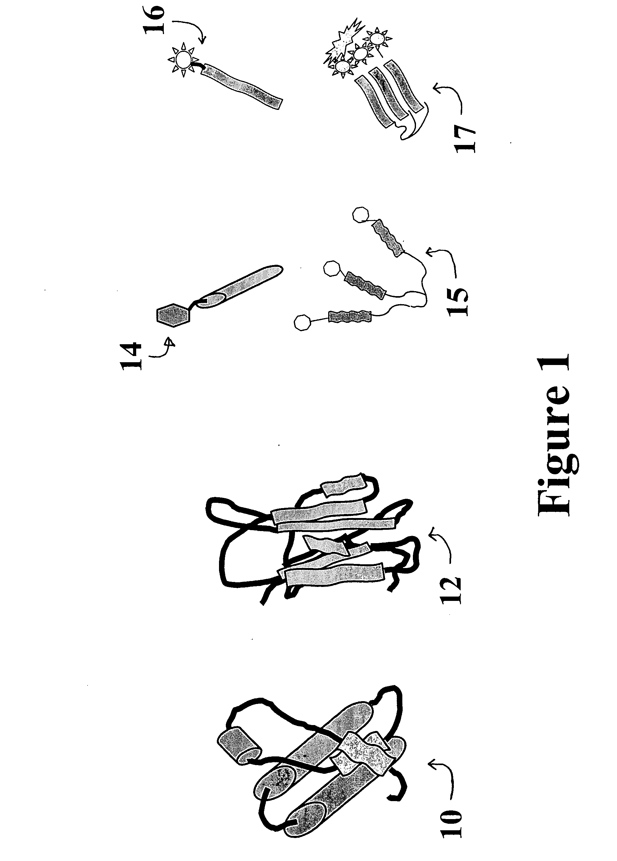 Misfolded protein sensor method