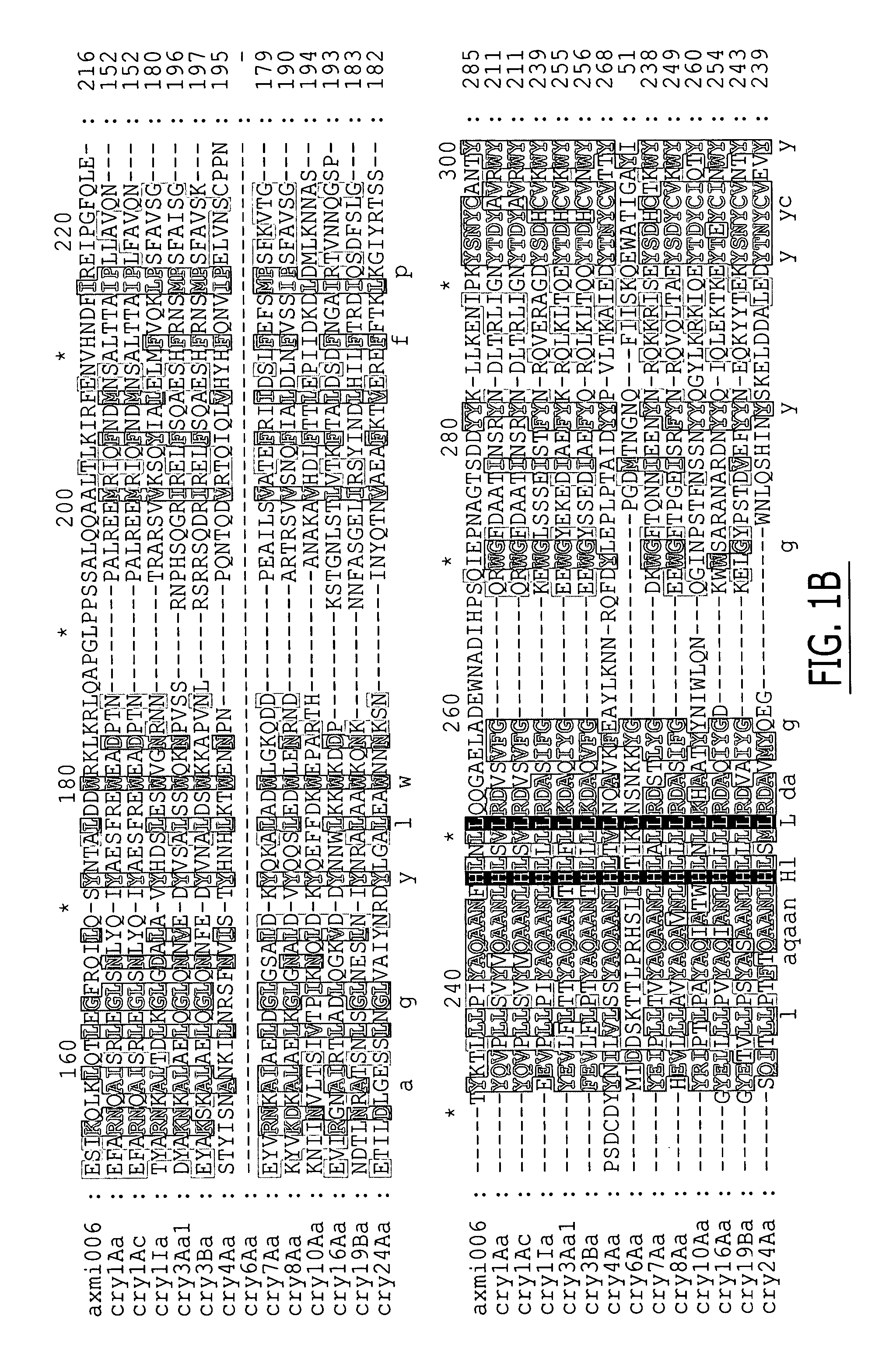 AXMI-006, a delta-endotoxin gene and methods for its use