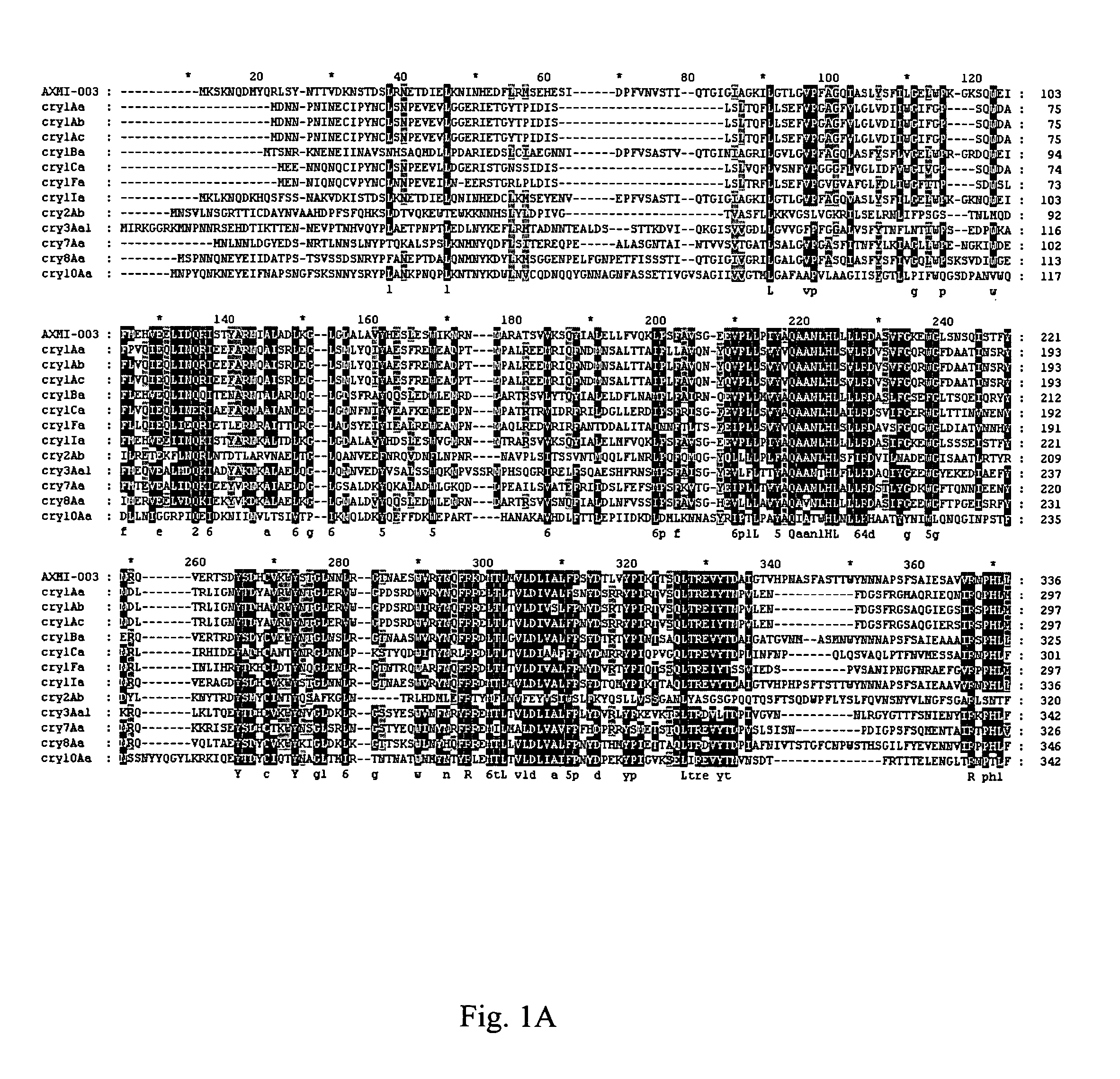 AXMI-003, a delta-endotoxin gene and methods for its use