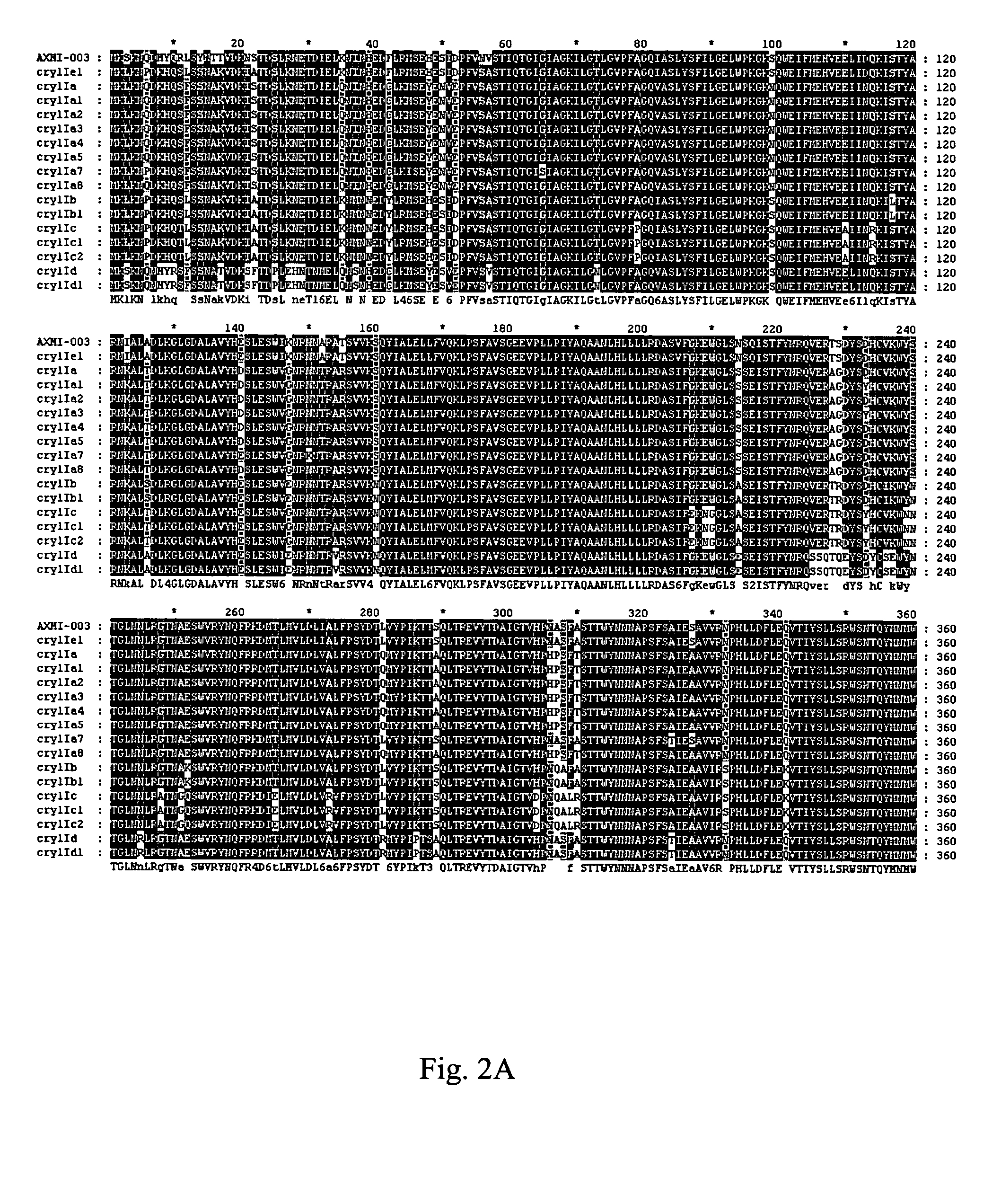 AXMI-003, a delta-endotoxin gene and methods for its use